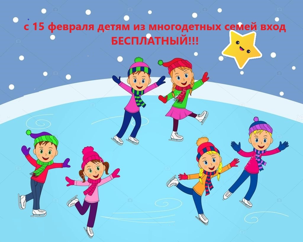с 15.02.2020 билет на массовое катание для детей из многодетных семей бесплатный .
